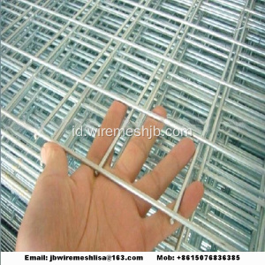 Hot-dip Galvanized Welded Wire Mesh Panel